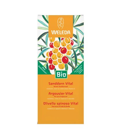 OLIVELLO SPINOSO VITAL SUCCO