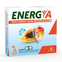 ENERGYA INVERNO 14BUST