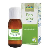 FICUS CARICA 1DH GTT 60ML INT