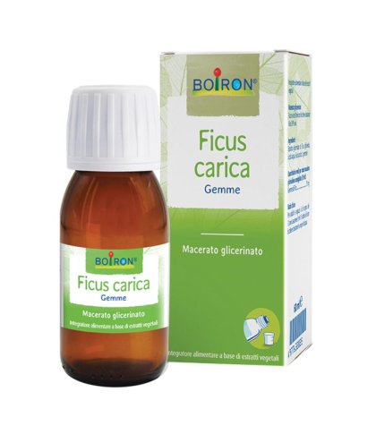 FICUS CARICA 1DH GTT 60ML INT