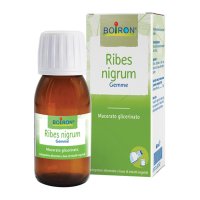 RIBES NIGRUM MG 60ML INT