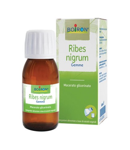 RIBES NIGRUM MG 60ML INT