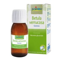 BETULA VERRUCO MG 60ML INT