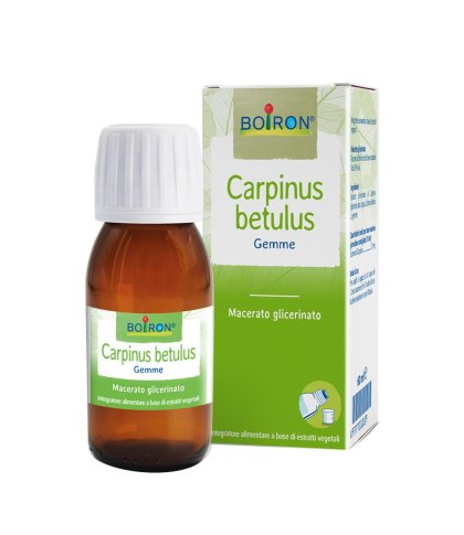 CARPINUS BETULUS MG 60ML INT