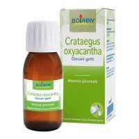 CRATAEGUS OXY BOI MG 60ML INT