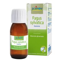 FAGUS SYLVATICA MG 60ML INT