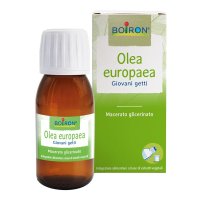 OLEA EUROPAEA MG 60ML INT