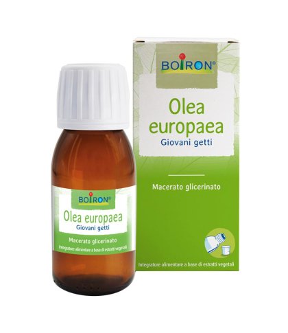 OLEA EUROPAEA MG 60ML INT