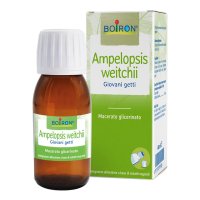 AMPELOPSIS WEI MG 60ML INT