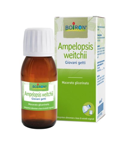 AMPELOPSIS WEI MG 60ML INT