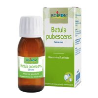 BETULA PUBESCENS MG 60ML INT