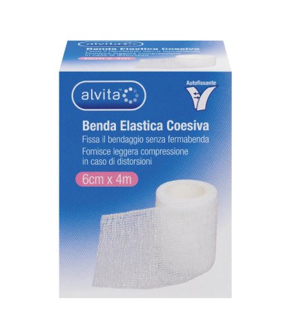 ALVITA BENDA ELASTICA COES 6X4