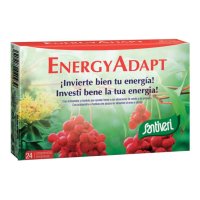 ENERGY ADAPT 24CPR