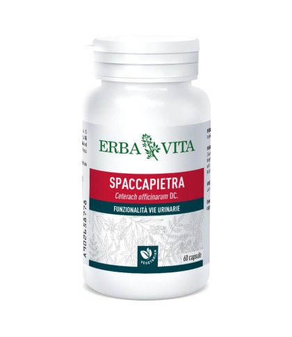 SPACCAPIETRA 60CPS N/F ERBAVIT