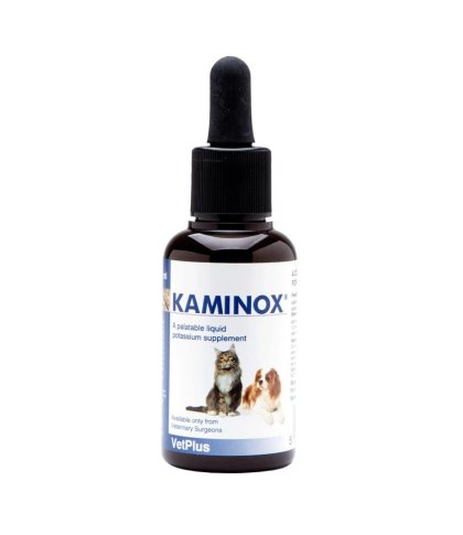 KAMINOX SCIROPPO 60 ML