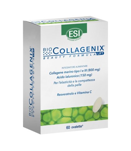 BIOCOLLAGENIX 60OVAL