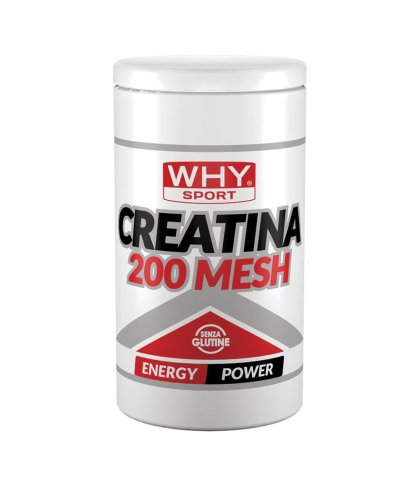 WHYSPORT CREATINA 200 MESH500G