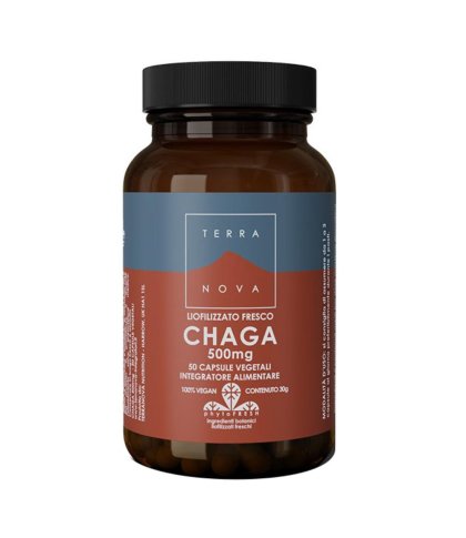 TERRANOVA CHAGA 50CPS