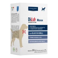 DILSH MEDIUM CANI 20BUST