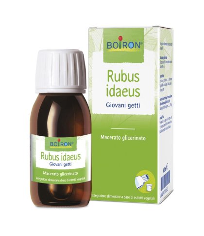 RUBUS IDAEUS GIOV GETTI 60ML