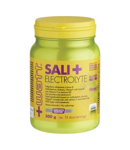 SALI+ ELECTROLYTE LIM 500G