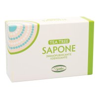 TEA TREE SAPONE C/ALOE 100GR V