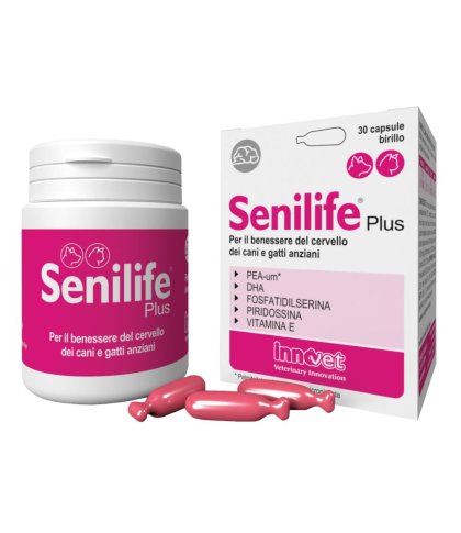 SENILIFE PLUS 30CPS