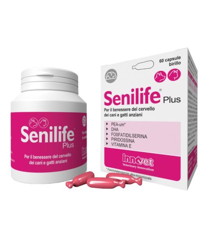 SENILIFE PLUS 60CPS