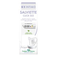 GSE INTIMO SALVIETTE CLICK GO