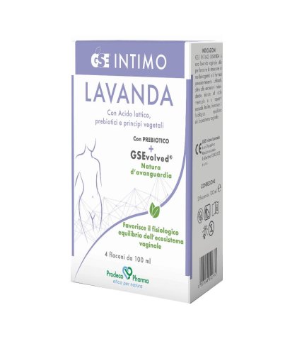 GSE INTIMO LAVANDA 4FL