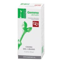 CEDRO DEL LIBANO MG BIO 50ML