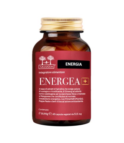 ENERGEA+ 60CPS (I6/222) SALUGE