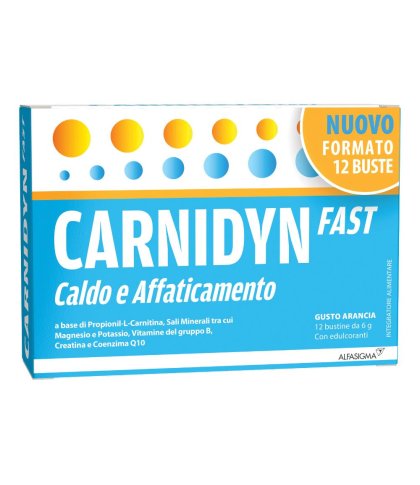 CARNIDYN FAST 12BUST