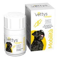 VETTYS INTEGRA MOBILITA' CANE