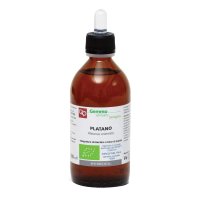 PLATANO MG BIO 200ML