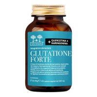 GLUTATIONE FORTE 60CPS SALUGEA