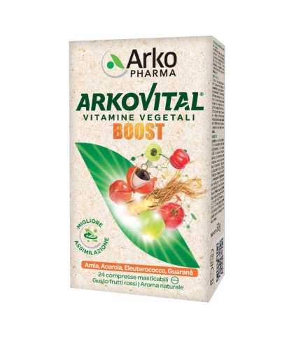 ARKOVITAL BOOST 24CPR