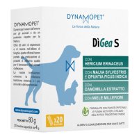 DIGEA S 20BUSTE 4GR DYNAMOPET