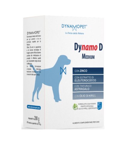 DYNAMO D SMALL 20BUST