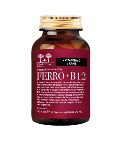 FERRO+B12 SALUGEA 60CPS